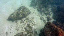 Grandes Descobertas, Ilha do Tesouro, Moal Gigante da Ilha da Páscoa, Praia Secreta, Peixes Venenosos, Navegação no Arquipélago da Almada, 25 milhas submarinas, Marcelo Ambrogi, Ubatuba, SP, Brasil, (19)