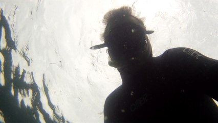 Grandes Descobertas, Ilha do Tesouro, Moal Gigante da Ilha da Páscoa, Praia Secreta, Peixes Venenosos, Navegação no Arquipélago da Almada, 25 milhas submarinas, Marcelo Ambrogi, Ubatuba, SP, Brasil, (28)