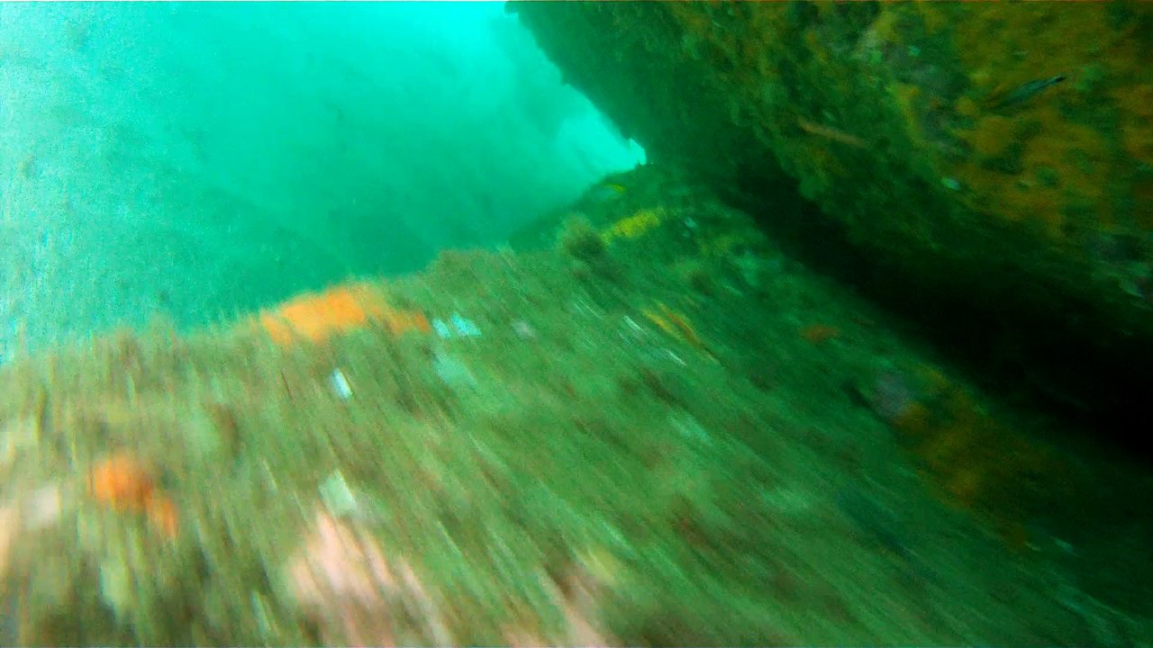 Grandes Descobertas, Ilha do Tesouro, Moal Gigante da Ilha da Páscoa, Praia Secreta, Peixes Venenosos, Navegação no Arquipélago da Almada, 25 milhas submarinas, Marcelo Ambrogi, Ubatuba, SP, Brasil, (32)