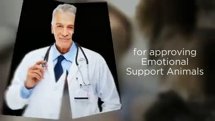 Are you struggling to find a place to live due to no pet policies?