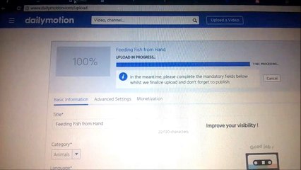 DailyMotion Video Uploading Error