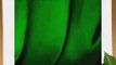 LimoStudio 10'X12' Photography Studio Green Chromakey Muslin Photo Video Background DOUBLE