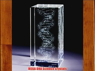 MEGA DNA Science Crystals