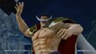 One Piece Pirate Warriors 3 - Gameplay Barbe Blanche
