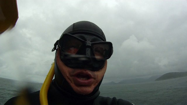 Grandes Descobertas, Ilha do Tesouro, Moal Gigante da Ilha da Páscoa, Praia Secreta, Peixes Venenosos, Navegação no Arquipélago da Almada, 25 milhas submarinas, Marcelo Ambrogi, Ubatuba, SP, Brasil, (61)