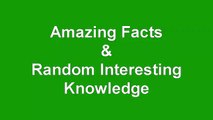 Amazing Facts You Don't Know
