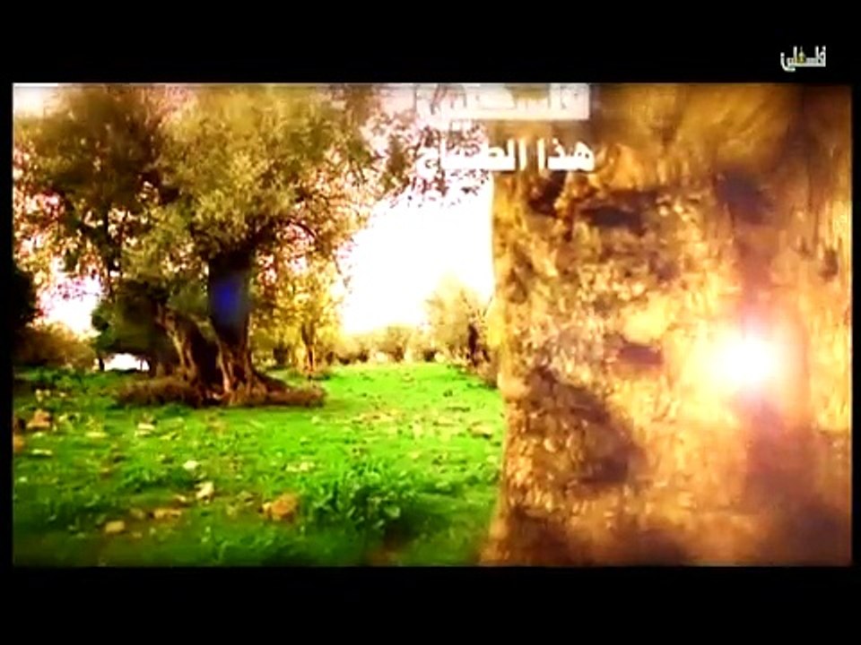 فلسطين هذا الصباح    الخميس 19-3-2015 ج1