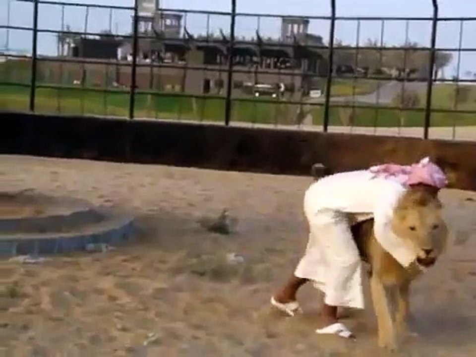 Man vs Lion - Man and Lion Fight Must Watch Wow