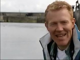 Köpek yunusun arkadaşlığı