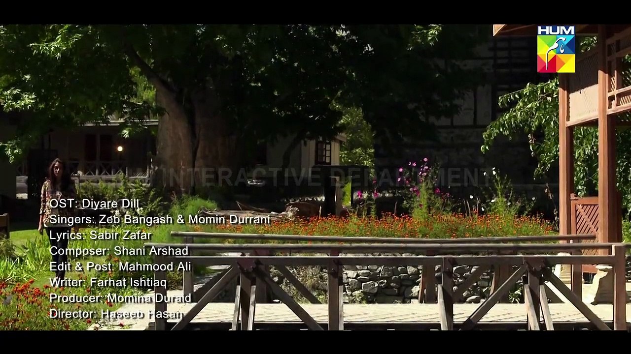 Zeb Bangash OST Diyar-E-Dil  Hum tv