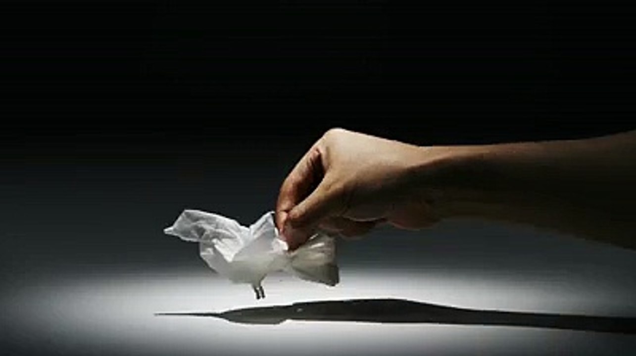 Amazing Art by Paper
