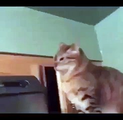 VID-20150318-WA0017
