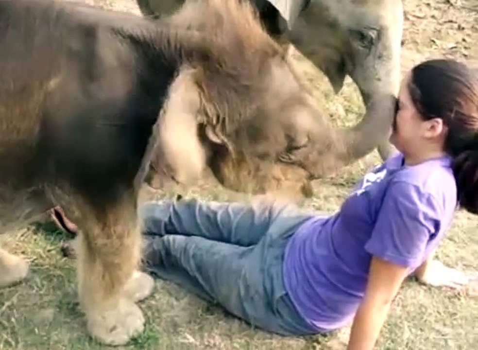 Elephant Baby is Playing With Girl - So Cute