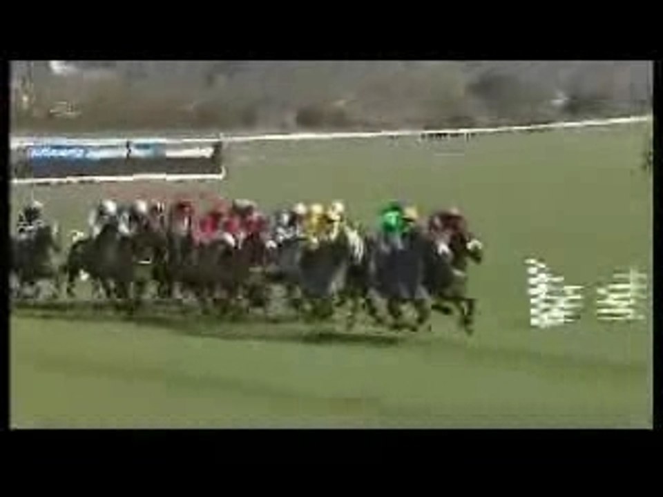 Cheltenham racing