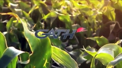 Watertech Easy Waveski, The Movie