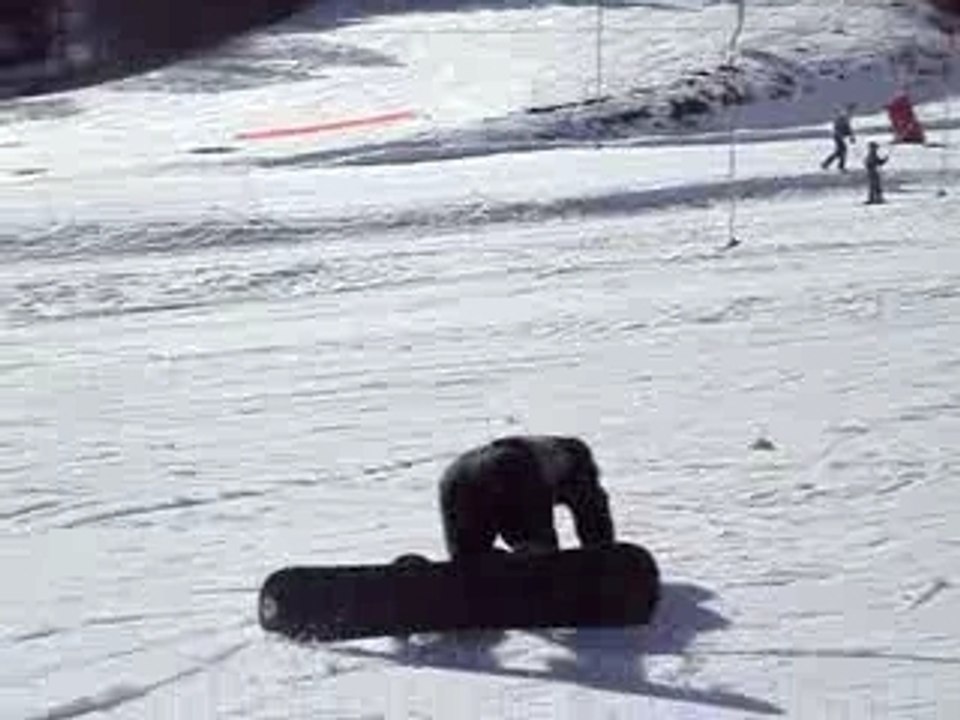 MARC BERTAIOLA TOUTE 1ER FOIS