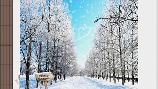 Snow-covered Road 10' x 10' CP Backdrop Computer Printed Scenic Background