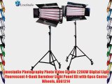 Limostudio Photography Photo Video Studio 2200W Digital Light Fluorescent 4-Bank Barndoor Light