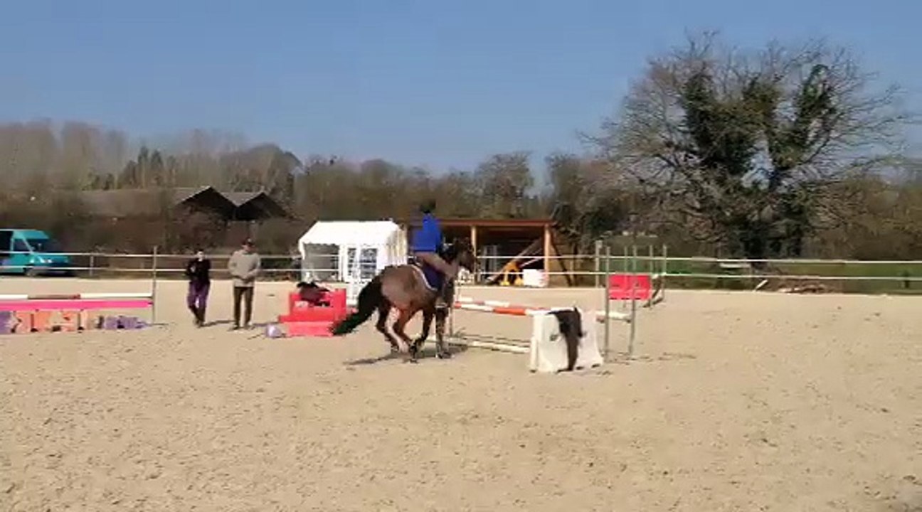 stage ecuries du ga