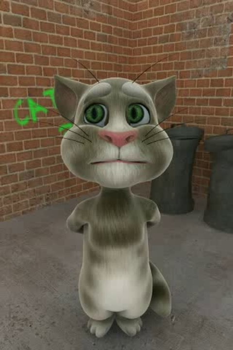 TalkingTom(31)