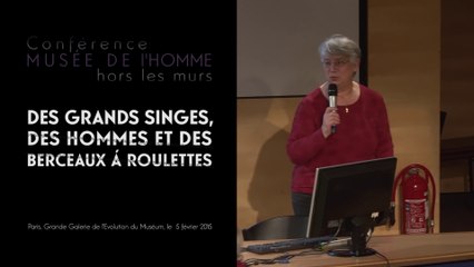 Download Video: Des grands singes, des Hommes et des berceaux à roulettes (Musée de l’Homme 