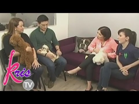 Wedding anniversary date of Carmina-Zoren at Richard-Melody