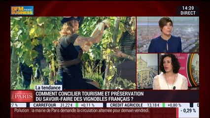 La tendance du moment: L'œnotourisme, un secteur en pleine expansion – 19/03