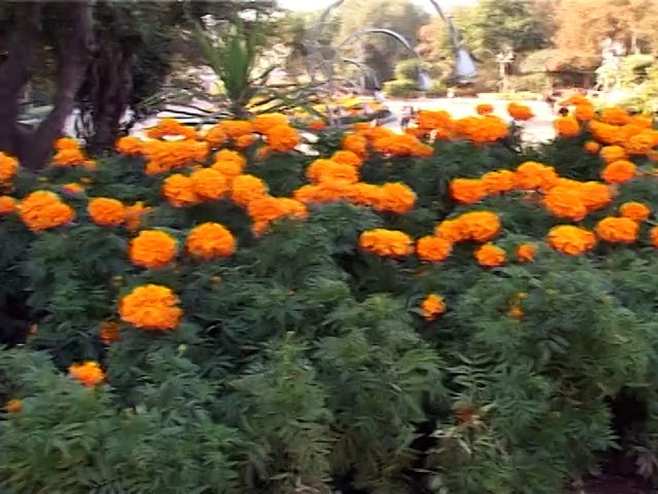 Zamung Pakistan, Margalla Hills, Part 3