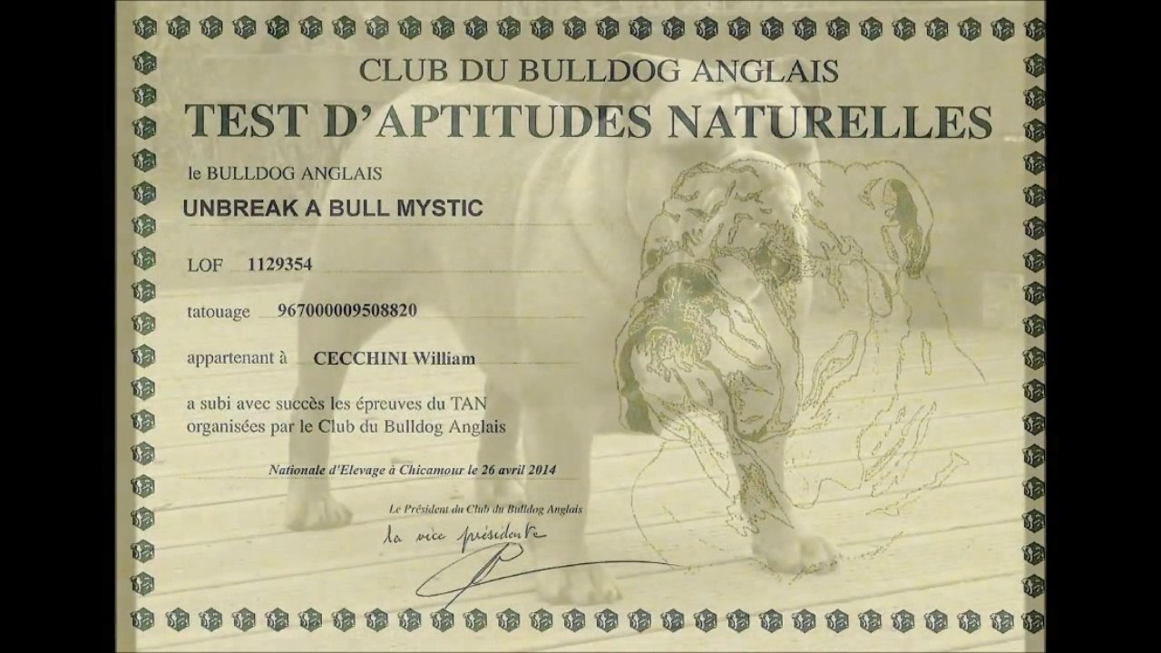 T.A.N Unbreak-A-Bull Mystic  à la N.E en Avril 2014