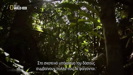 Nat Geo Wild =- Επεισόδιο 1 =-