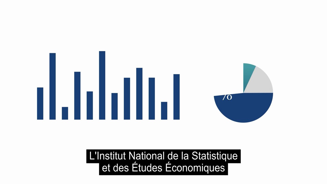 Pour comprendre les statistiques de l'Insee - VFST