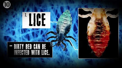 10 créatures horribles présentes dans nos lits