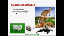 FSc Biology Book1, CH 10, LEC 17; Birds and Mammals