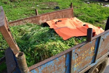Adana'da Üzerlerine Yıldırım Düşen 2 Tarım İşçisi Öldü (2)