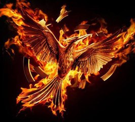 THE HUNGER GAMES - Mockingjay: Part 2 – Teaser “Remember” (The Hunger Games Franchise Logo) [VO|HD]