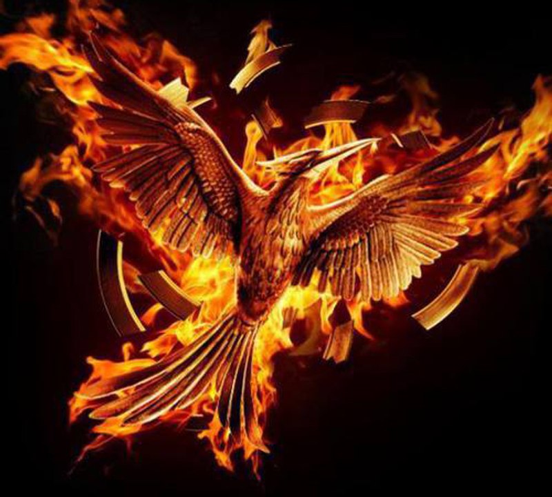 THE HUNGER GAMES - Mockingjay: Part 2 – Teaser “Remember” (The Hunger Games Franchise Logo) [VO|HD]