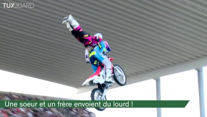 ZAP DU JOUR #85 : Yoga extrême / Chat fan de glissade / Trick shots dans un entrepôt / Un oiseau très heureux de vivre ! /