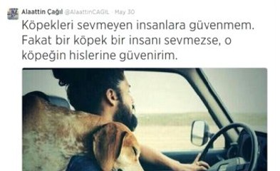 Hayvan sevgisi Türkiye rekoru kırdırdı