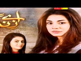 Aye Zindagi Episode 3 Promo on HUm TV