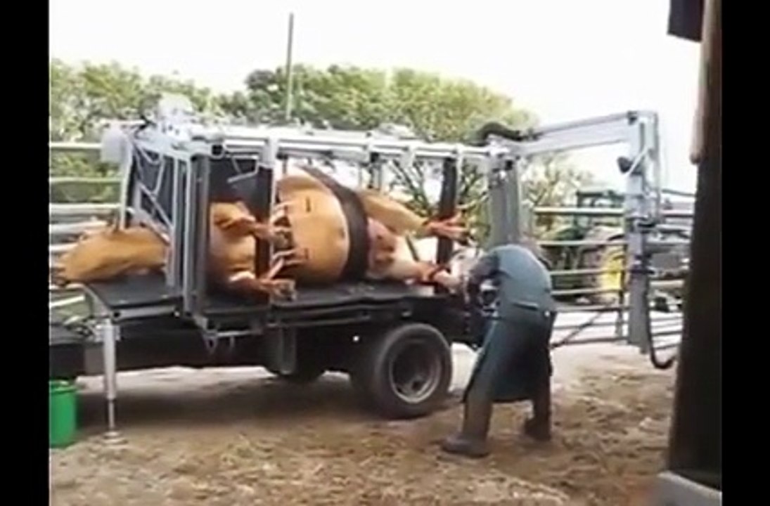 This is really amazing job
