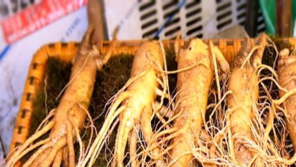 Kinh nghiệm mua sâm tươi làm quà biếu ngày đầu ra mắt nhà vợ