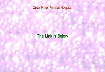 Crow River Animal Hospital Download (Instant Download)