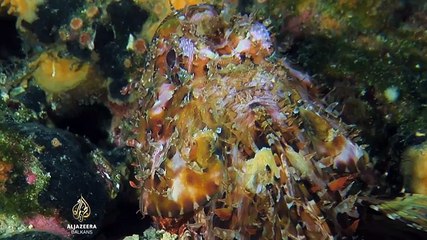 Alhemija/Alkemija Balkana: Hrvatska - 4. epizoda