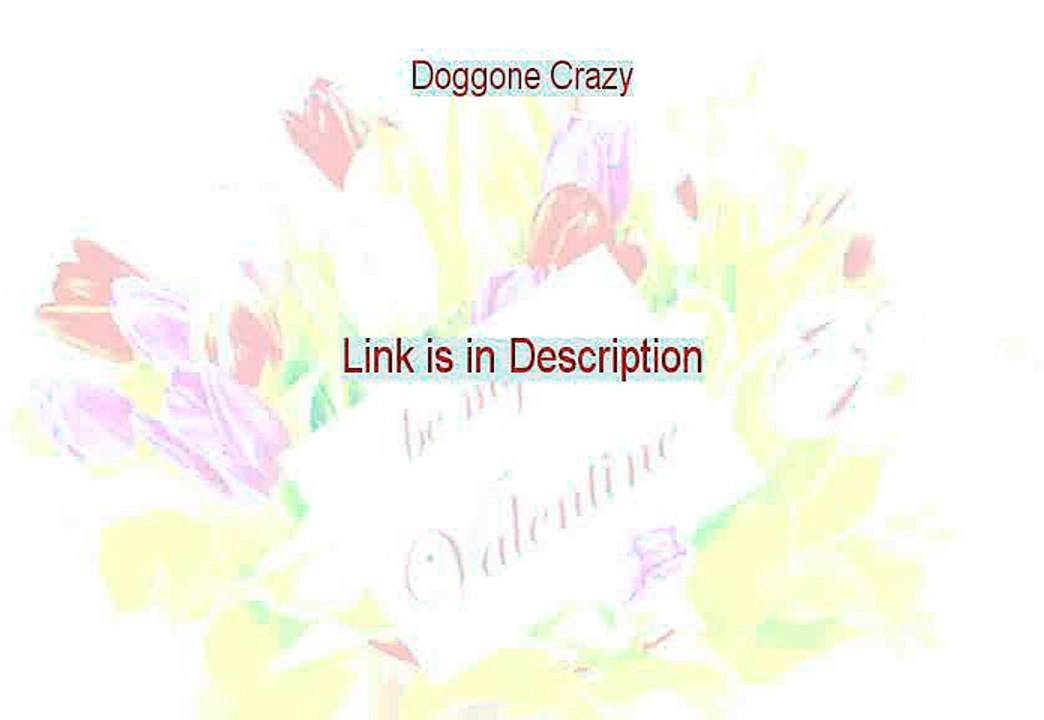 Doggone Crazy Reviews (Watch this)