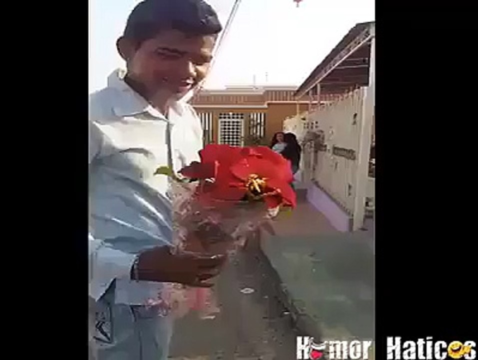 funny flower bucket and reply