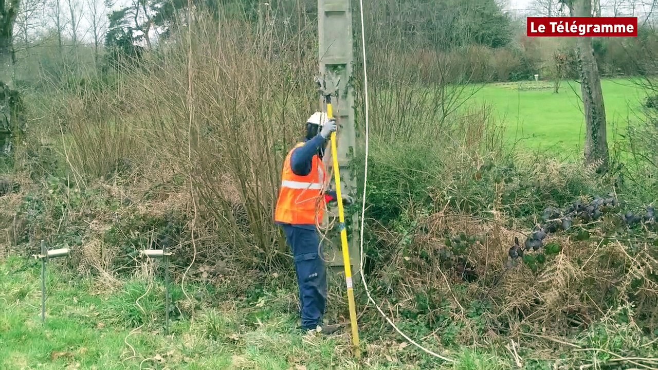 Cavan (22). ERDF : un chantier de maintenance lourde