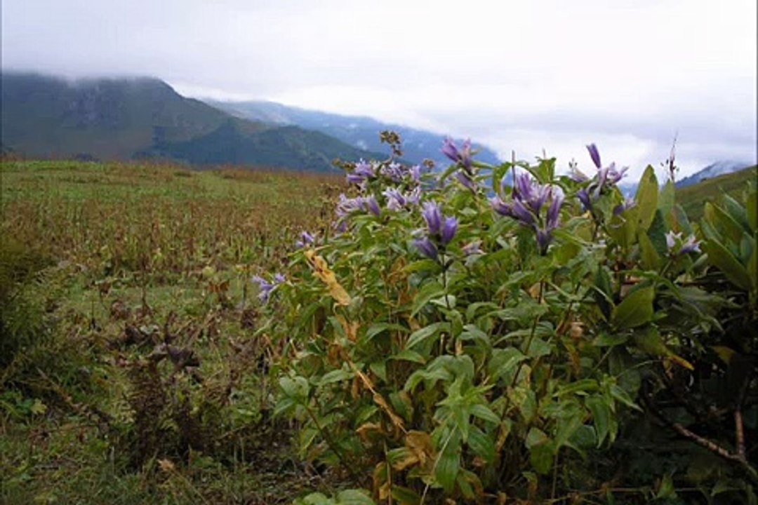 Господин горных дорог