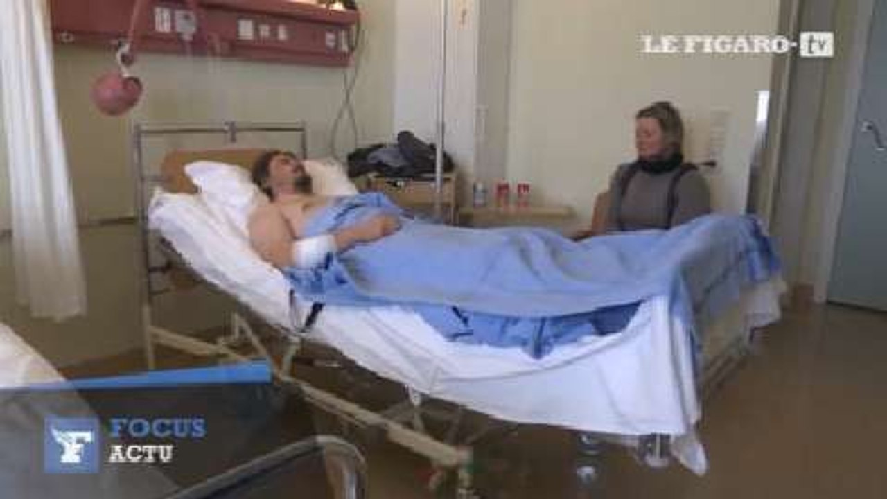 Norvège : un "chasseur d'éclipse" attaqué par un ours polaire