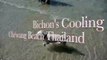 Bichon Frise Dogs Cooling off on Sandbar Chewang Beach Ko Samui Thailand