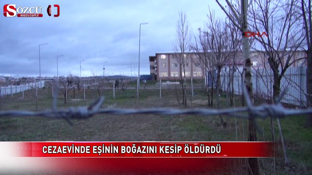 Cezaevine ziyarete gelen eşinin boğazını kesip öldürdü